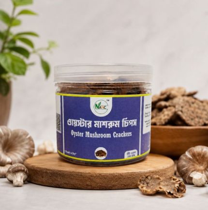 ওয়েস্টার মাশরুম চিপস Oyster Mushroom Crackers Nancy Agro and Food